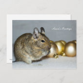 Degu & Baubles Season's Greetings Feiertagspostkarte (Vorne/Hinten)