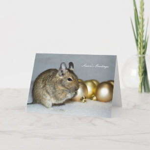 Degu & Baubles Weihnachten