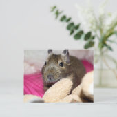Degu Behind Fallen Teddy Bear Postkarte (Stehend Vorderseite)