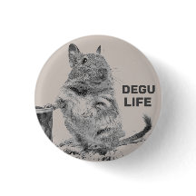 ⊿ DEGU. ⊿