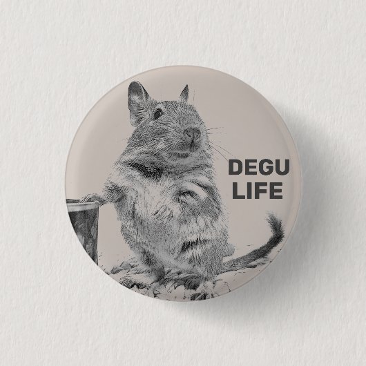 ⊿ DEGU. ⊿ BUTTON (Vorderseite)