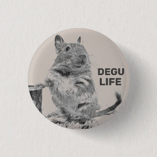 ⊿ DEGU. ⊿ BUTTON