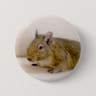 Degu Button
