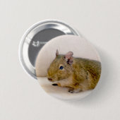 Degu Button (Vorne & Hinten)