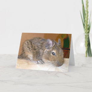 Degu entspannende Grußkarte Karte