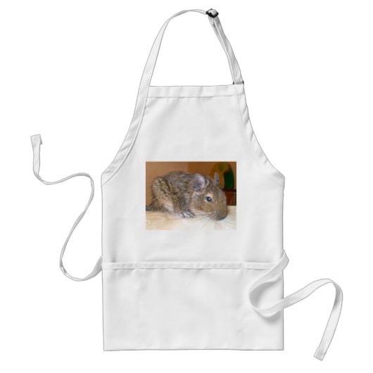 Degu entspannende Schürze (Vorne)