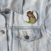 Degu in der grünen Fotografie Button (Beispiel)
