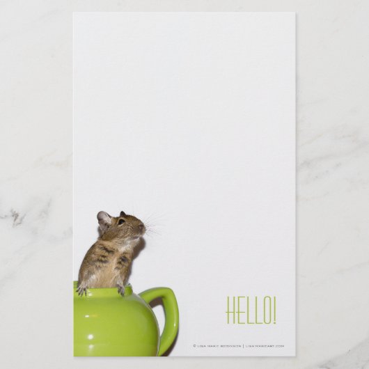 Degu in einer Teekanne 'Hello Briefpapier (Vorderseite)