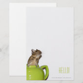 Degu in einer Teekanne 'Hello Briefpapier (Vorne/Hinten)