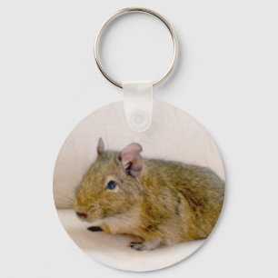 Degu Keychain Schlüsselanhänger