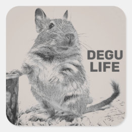 DEGU LIFE QUADRATISCHER AUFKLEBER