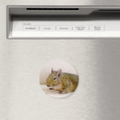 Degu Magnet (In Situ (Geschirrspüler))
