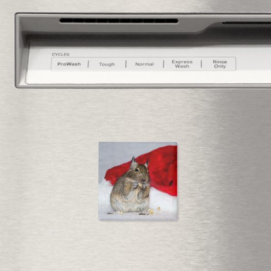 Degu mit Weihnachtsmannmütze festlich Magnet (In Situ (Geschirrspüler))