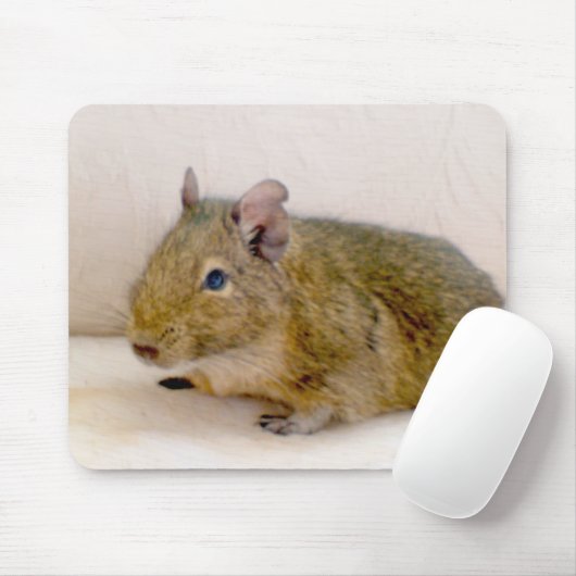 Degu Mousepad (Mit Mouse)