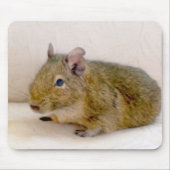 Degu Mousepad (Vorne)