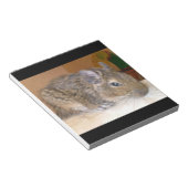 Degu Relaxen Notepad Notizblock (angewinkelt)