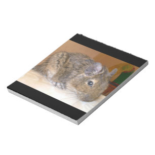Degu Relaxen Notepad Notizblock