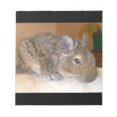 Degu Relaxen Notepad Notizblock (Vorderseite)