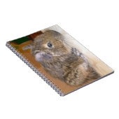 Degu Relaxing-Notebook Notizblock (Rechte Seite)