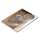 Degu Relaxing-Notebook Notizblock (Linke Seite)