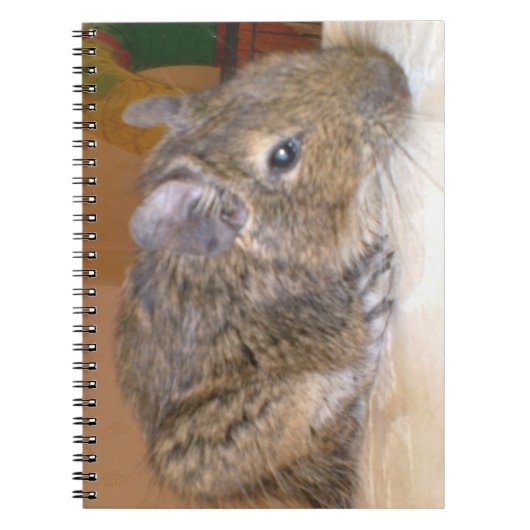 Degu Relaxing-Notebook Notizblock (Vorderseite)