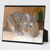 Degu Relaxing Plaque Fotoplatte (Seite)