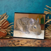 Degu Relaxing Plaque Fotoplatte (Seite)