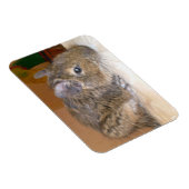 Degu Relaxing Premium Magnet (Rechte Seite)