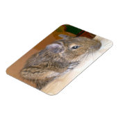 Degu Relaxing Premium Magnet (Linke Seite)