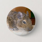 Degu Relaxtaste Button (Vorderseite)