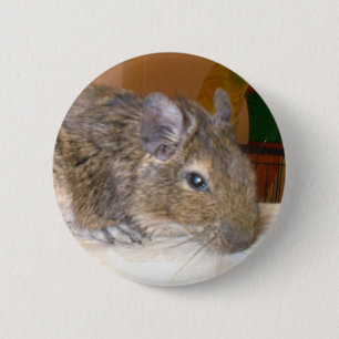 Degu Relaxtaste Button