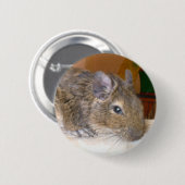 Degu Relaxtaste Button (Vorne & Hinten)