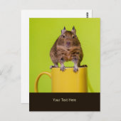 Degu sitzt auf einer Tasse Postkarte (Vorne/Hinten)