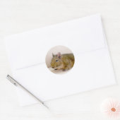 Degu Sticker (Umschlag)
