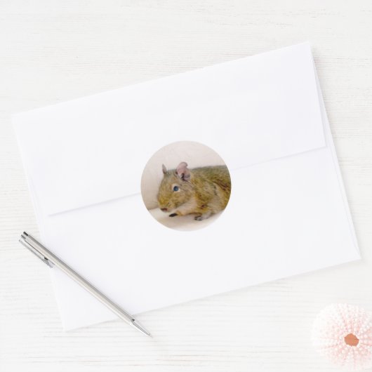 Degu Sticker (Umschlag)