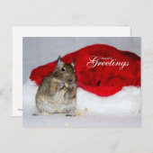 Degu & Weihnachtsmannmütze - Grüße der Saison Feiertagspostkarte (Vorne/Hinten)