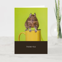Degu Yellow Cup Danke