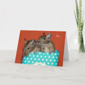 Degus inside Coffee Tin 'Hi' Karte (Vorderseite)