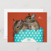 Degus Inside Coffee Tin 'Hi' Postkarte (Vorne/Hinten)