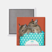 Degus mit Polka Dots Magnet (Vorderseite/Rückseite)