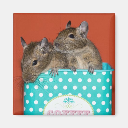 Degus mit Polka Dots Magnet (Vorne)
