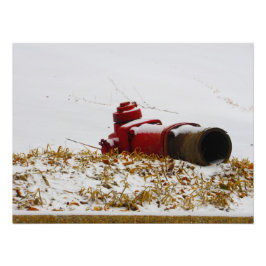 ‚Dehydrated‘ Fotodruck