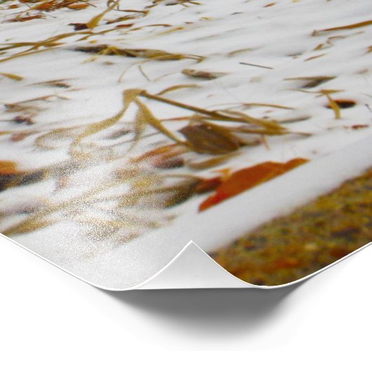 ‚Dehydrated‘ Fotodruck (Ecke)