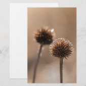 Deichsel im Herbst-Makro Briefpapier (Vorne/Hinten)
