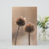 Deichsel im Herbst-Makro Briefpapier (Stehend Vorderseite)