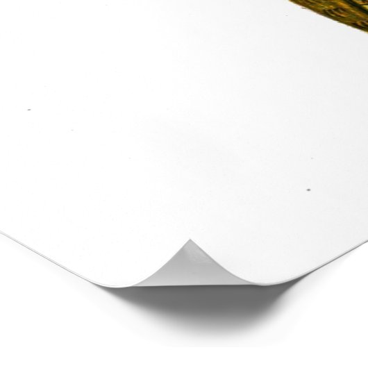 Deilephila celerio - Vine Hawk-Moth Poster (Ecke)