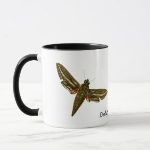 Deilephila celerio - Vine Hawk-Moth Tasse