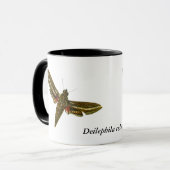 Deilephila celerio - Vine Hawk-Moth Tasse (Vorderseite Links)
