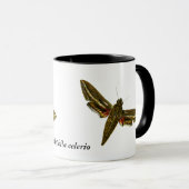 Deilephila celerio - Vine Hawk-Moth Tasse (VorderseiteRechts)