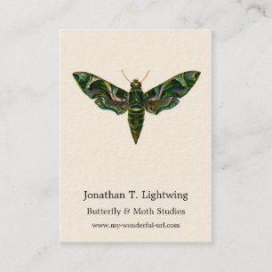 Deilephila Nerii - Oleander Hawk-Moth Business Car Visitenkarte